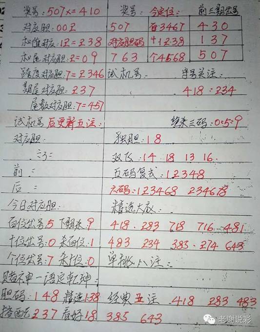 555525王中王心水高手,探索王中王心水高手的奥秘，一个关于数字与技艺的传奇故事