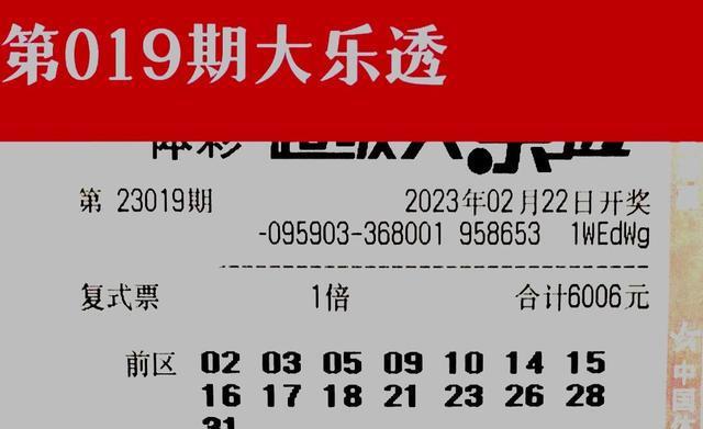 澳门天天彩期期精准澳门天|精简释义解释落实,澳门天天彩期期精准澳门天——警惕背后的风险与犯罪问题